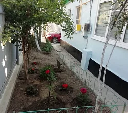 3х-комнатный дом под-ключ Чехова 6