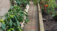 "На Камышовой" частный сектор, Сириус