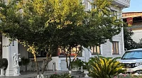 "Lucette Guest House" отель, Лдзаа