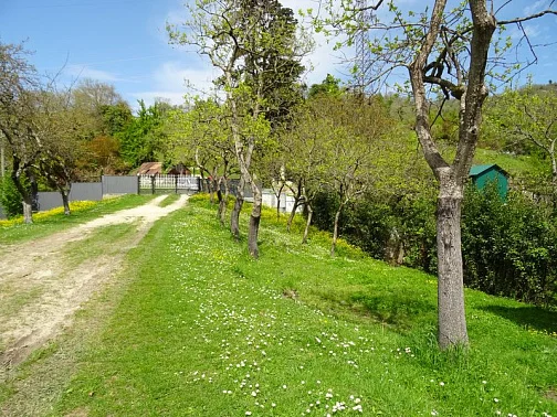 "Анухва (эко-отдых)" гостевой дом, Анхуа Фото: 3 из 4