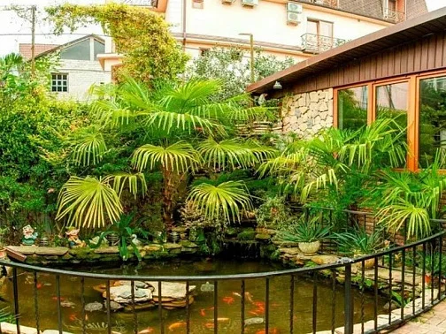 "Сиена" гостевой дом, Адлер Фото: 5 из 51