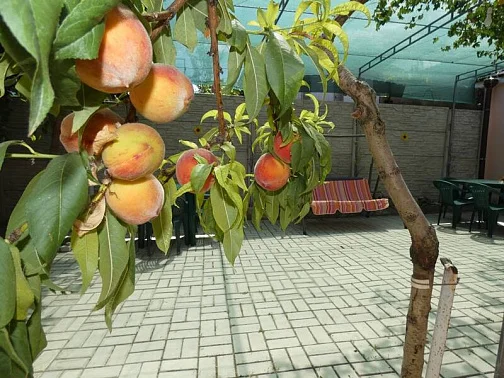 4х-комнатный дом под-ключ Нахимова 100, Феодосия Фото: 6 из 35