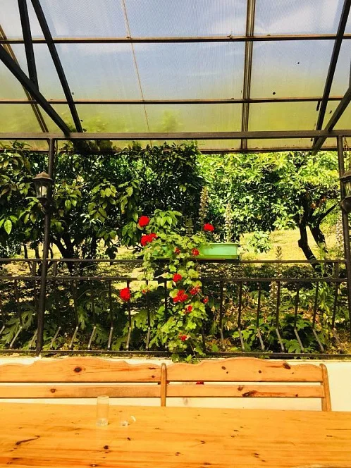 "Мандариновый сад" мини-гостиница, Гагра Фото: 17 из 46