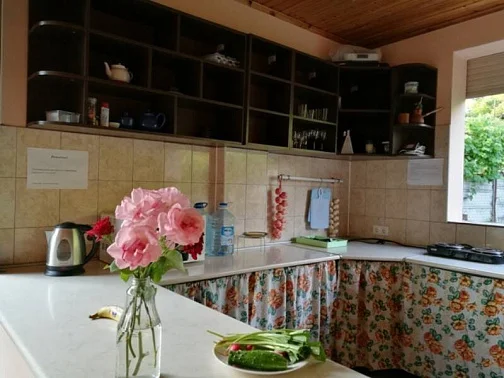 "Villa Roza" гостевой дом, Гагра Фото: 6 из 25