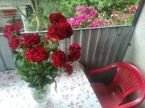 Дом под-ключ Севастопольское шоссе 54, Алупка Фото: 13 из 16