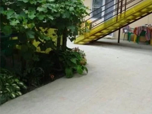 "Камелия" гостевой дом, Голубицкая Фото: 37 из 38