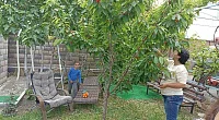 "Гиацинт" гостевой дом, Орловка