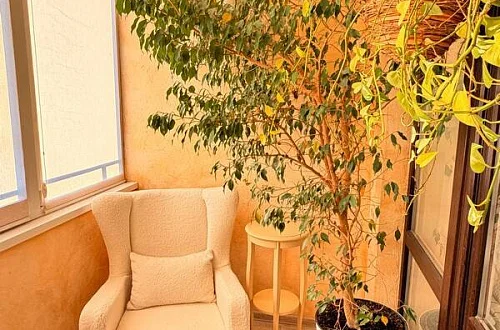 1-комнатная квартира Фото: 5 из 11