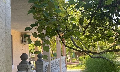 "У Вадима" гостевой дом, Агудзера Фото: 1 из 18