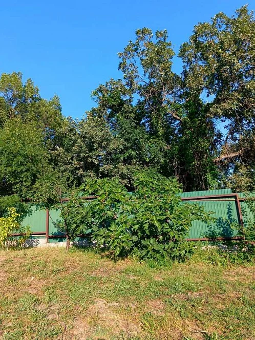 Дом под-ключ Кедровая 38, Геленджик Фото: 15 из 17