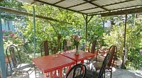 "Соня" частный сектор, Цандрипш