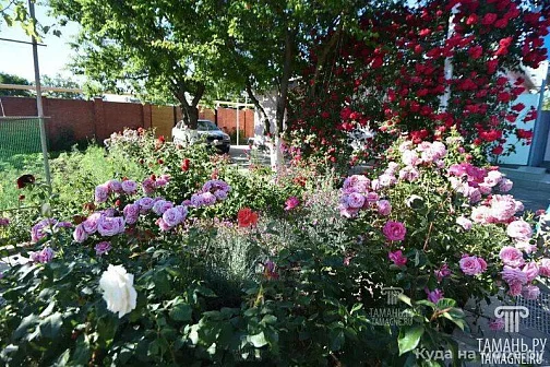 "Людмила" гостевой дом, Кучугуры Фото: 12 из 28