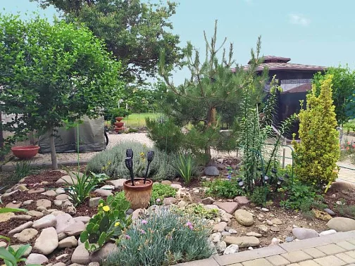 1-комнатный дом под-ключ Гагарина 44, Крым Фото: 6 из 19