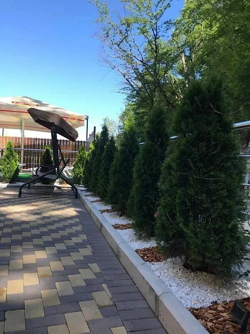 "Forest" гостевой дом, Новомихайловский Фото: 14 из 51