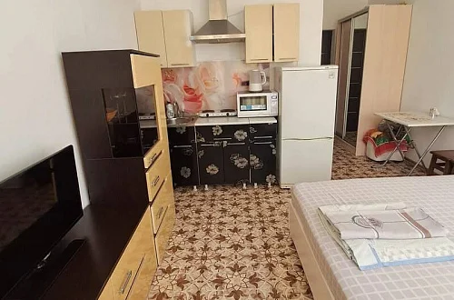 Квартира-студия Фото: 2 из 4
