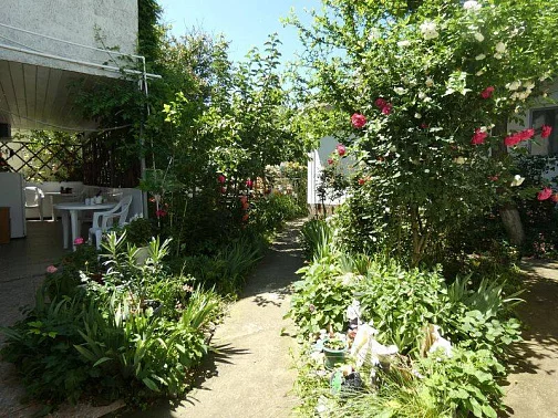 "Гостевые Домики У Светланы Зеленый Дворик" частный сектор, Сукко Фото: 12 из 34