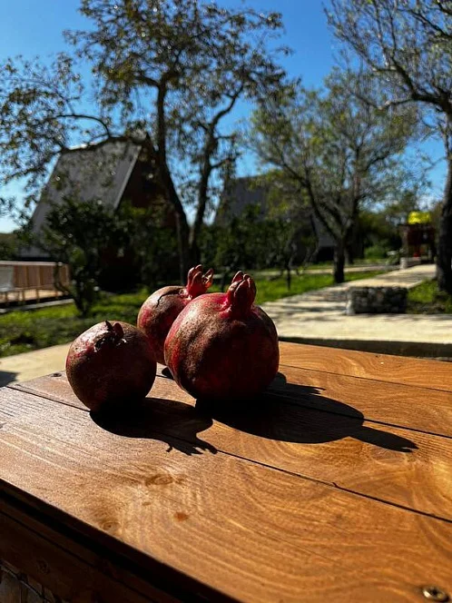 "Родные места" база отдыха, Асечкуа Фото: 19 из 47