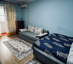1-комнатная квартира Лакоба 114 кв 47