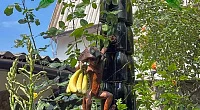 "Дом пирата" гостевой дом, Феодосия