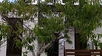 "ЭКО деревянный новый домик" дом под-ключ, Сухум