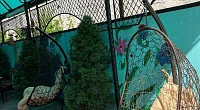 "Русалка" гостевой дом, Витязево