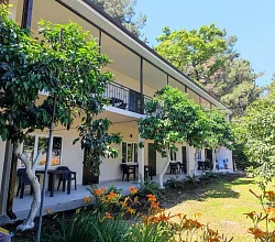 "Сосновый рай" гостевой дом