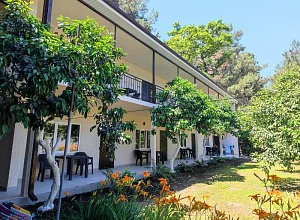 "Сосновый рай" гостевой дом