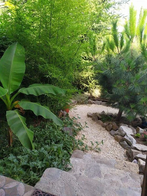 "Добрыня" частный сектор, Партенит Фото: 19 из 49