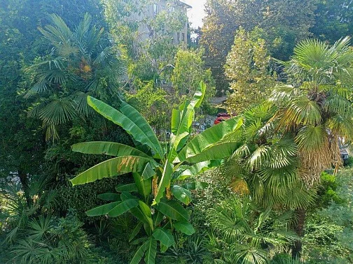 1-комнатная квартира Курортный 78 кв 2, Сочи Фото: 15 из 17