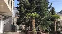 "Лилия" гостевой дом (эллинг), Утёс