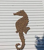 "Домик Морской конёк 2х-комнатный" 6-местный