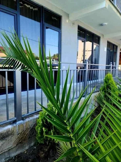 "У Ларисы" гостевой дом, Гагра Фото: 7 из 48