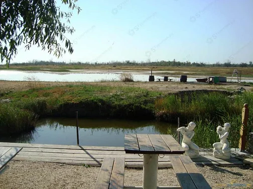 "Осетровый курень" база отдыха, Ейск Фото: 2 из 4