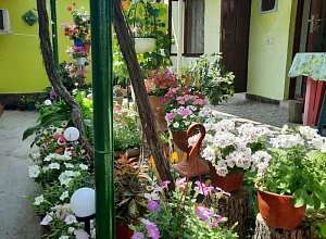 "Дома у Лилии" 