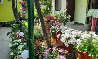 "Дома у Лилии" частное домовладение, Морское Фото: 1 из 50