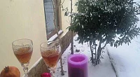 "Глициния" частное домовладение, Коктебель