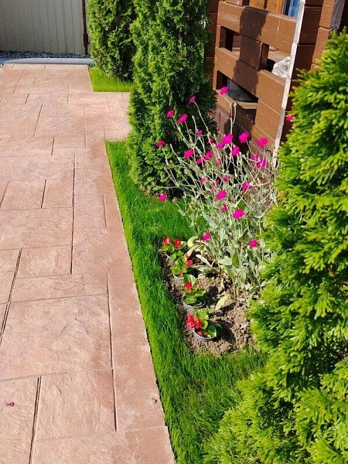 "Тихая гавань" гостевой дом, Пицунда Фото: 15 из 51