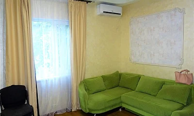 1-комнатная квартира-студия Курчатова 6, Виноградное Фото: 1 из 13