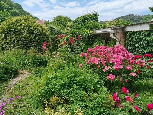 "ДОБРОЕ МЕСТО" гостевой дом, Солонники Фото: 5 из 23