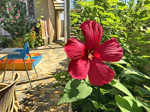 "Цветочная 22" частный сектор, Саки Фото: 14 из 32