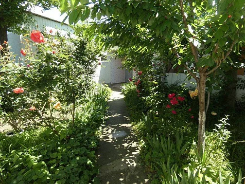 "Гостевые Домики У Светланы Зеленый Дворик" частный сектор, Сукко Фото: 3 из 34