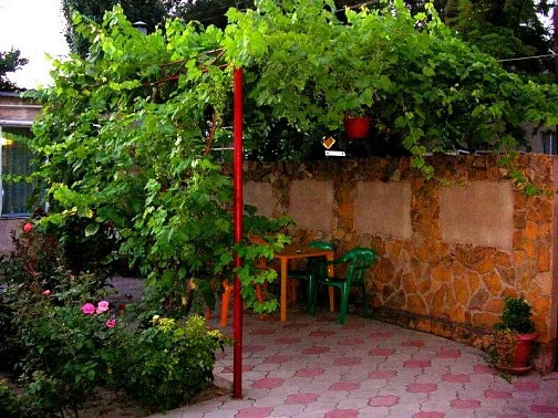 Частный сектор Владимирская 50, Анапа Фото: 4 из 17