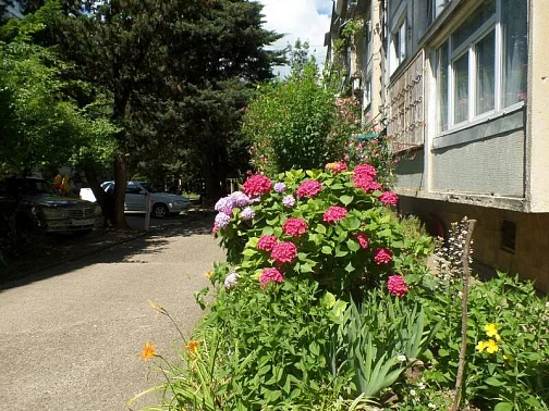 1-комнатная квартира Партизанская 10, Лазаревское Фото: 3 из 13