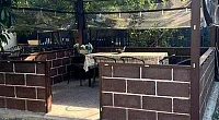 "Амина" гостевой дом, Лдзаа