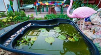 "Розовый фламинго" частный сектор, Севастополь