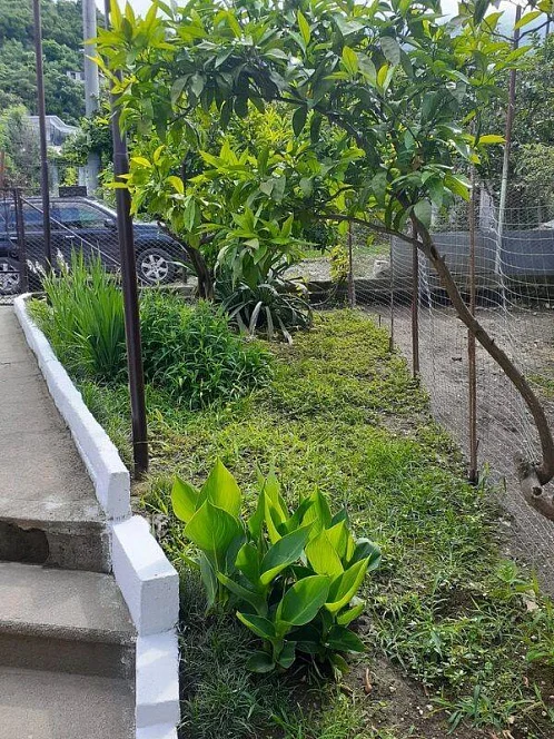 Частный сектор Генерала Дбар 62, Гагра Фото: 3 из 31