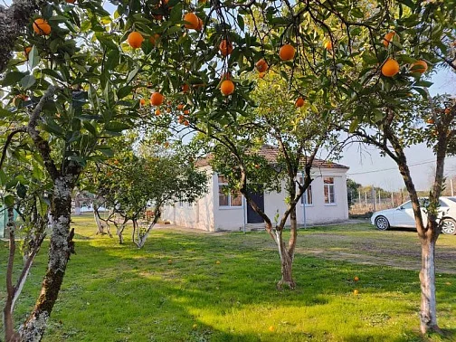 "С морем за калиткой" дом под-ключ, Мачара Фото: 2 из 39