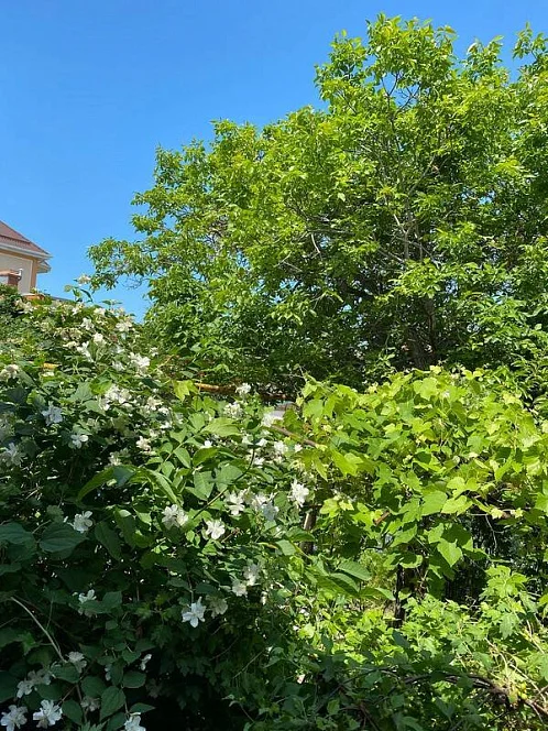 Частный сектор Маячная 37, Геленджик Фото: 13 из 42