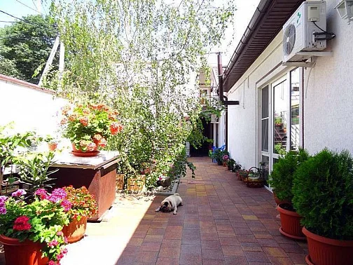 Частный сектор Революционная 63/1, Геленджик Фото: 2 из 4