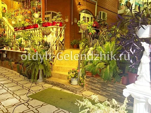 "Цветы" частное домовладение, Геленджик Фото: 18 из 37